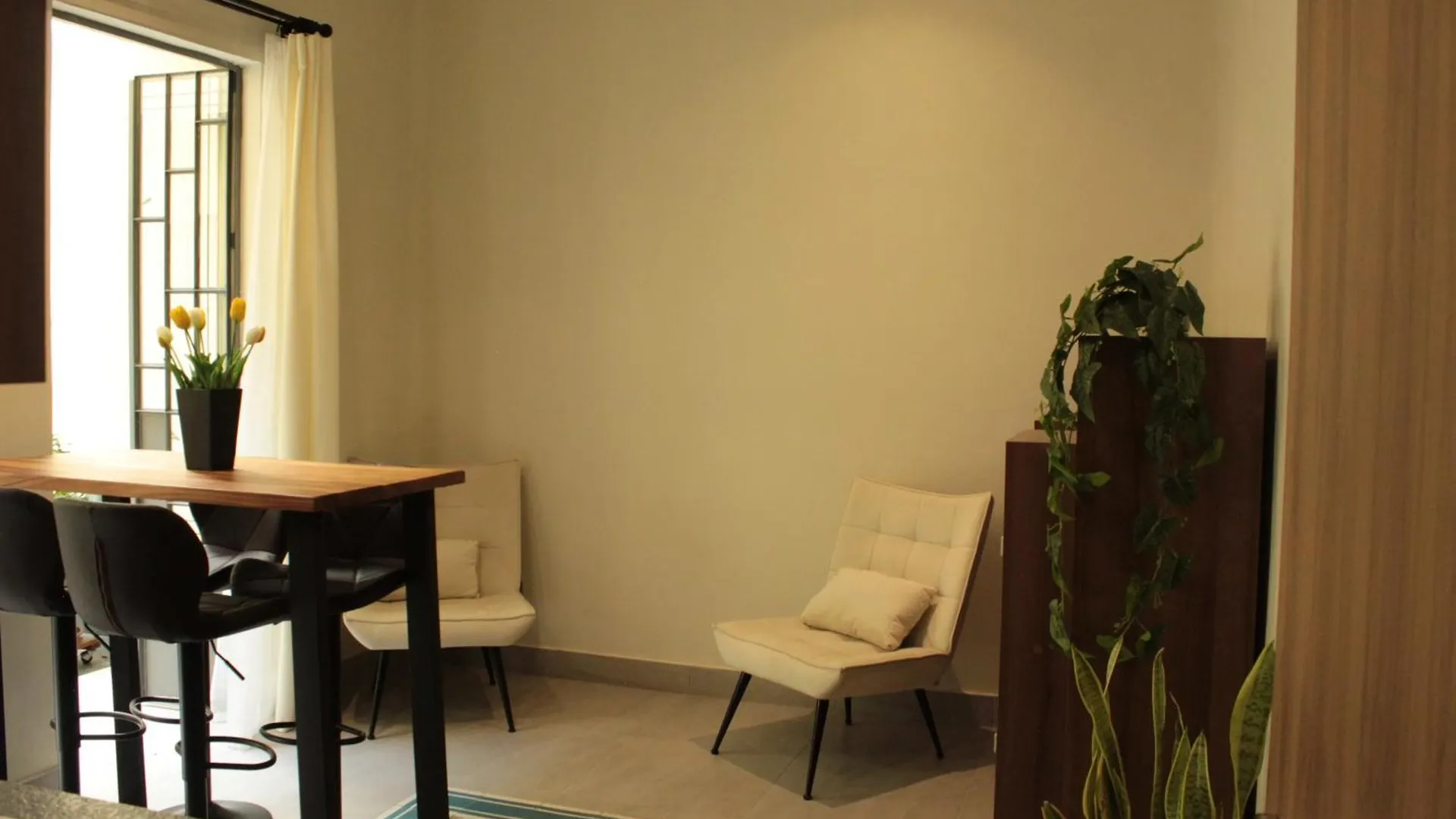 Apartamento Completo Planta Baja Colonia Moderna Guadalajara